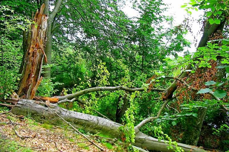 Uslugi Turystyczne Ekotur - Kraniec Swiata Daire Golubie Dış mekan fotoğraf